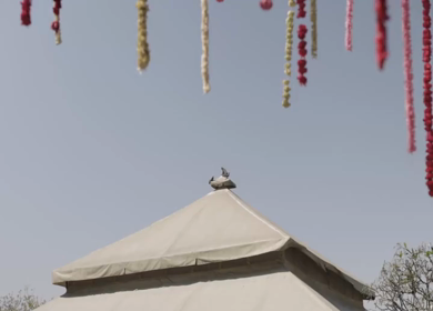 A Slow Motion Shot of an Indian Wedding Venue Decoration in India