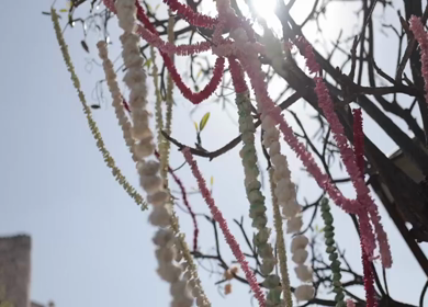 A Slow Motion Shot of an Indian Wedding Venue Decoration in India
