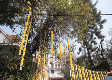 A Slow Motion Shot of an Indian Wedding Decoration in India