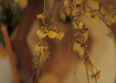 A Slow Motion Shot of an Indian Wedding Venue Decoration in India