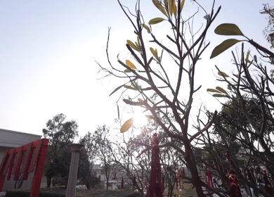 A Slow Motion Shot of an Indian Wedding Decoration in India