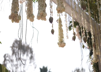 A Slow Motion Shot of an Indian Wedding Venue Decoration in India