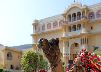  A slow motion Shot of the venue of an Indian Wedding being decorated