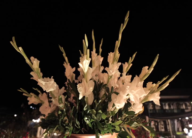 A Slow Motion Shot of an Indian Wedding Venue Decoration in India