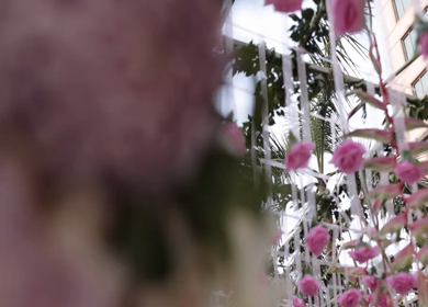 A Slow Motion Shot of an Indian Wedding Venue Decoration in India
