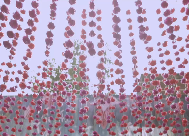 5th January 2025 : A slow motion shot of a bar at an Indian wedding in New Delhi, India