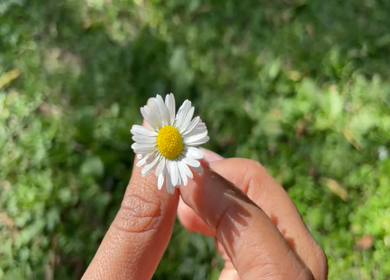 A shot of a person admiring the beauty of a flower in his hands 