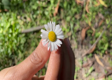 A shot of a person admiring the beauty of a flower in his hands 