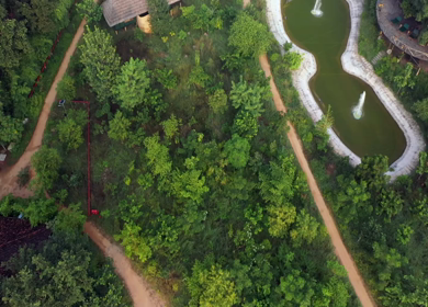 An Aerial Shot of Tendu Leaf Jungle Resort at Raj nagar, Madhya Pradesh, India
