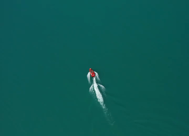 An aerial shot of a speeding motor boat in the Lake Interlaken in Switzerland