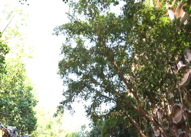 Shot of people shopping at Janpath Market New Delhi,India