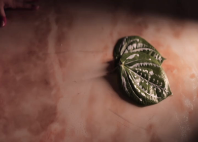 A shot of an Indian Wedding where rituals are being performed in India
