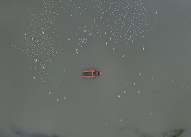 An aerial shot of Yamuna Ghat during Covid-19 Lockdown at New Delhi,India