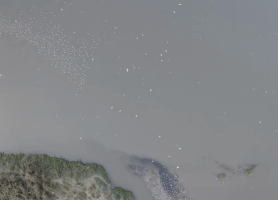 An aerial shot of Yamuna Ghat during Covid-19 Lockdown at New Delhi,India